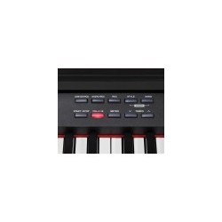 Pianoforte digitale verticale con tastiera da 88 tasti "Hammer Action" e 256 note di polifonia.