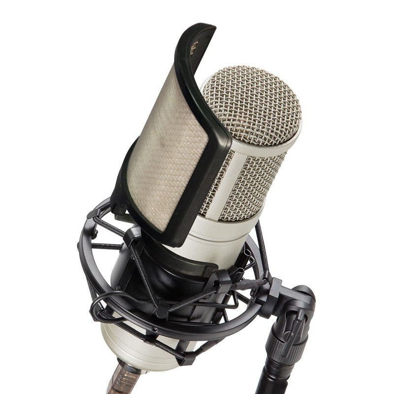 Microfono da Studio a Diaframma Largo con Diagramma Polare a Cardioide