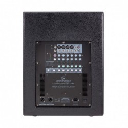 Sistema PA 2.1 Portatile da 1500W con Mixer 8-Ch, Effetti e Bluetooth