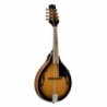 Mandolino bluegrass con top in abete laminato