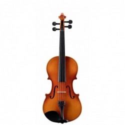 Violino  3/4 Virtuoso Primo...