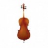 Violoncello Virtuoso OCE 4/4 tavola armonica in abete masello e fascie e fondo in acero massello