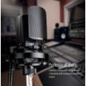 Multipattern Gold Capsule Studio Recording Microphone