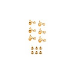 Bloccaggio Stratocaster® / Telecaster® Staggered Tuning Machines (Gold), confezione da 6