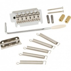 Fender Parts Deluxe Series Tremolo Assembly a 2 punti