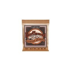 Earthwood Acoustic Phosphore bronze - Custom Medium