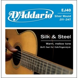 Silk & Steel Folk Guitar...