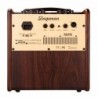 Amplificatore chitarra acustica con Digital FX e Jam Function (50W RMS)