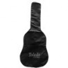 Chitarra classica 4/4 con borsa