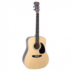 Chitarra acustica dreadnought