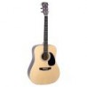 Chitarra acustica dreadnought