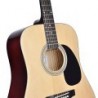 Chitarra acustica dreadnought