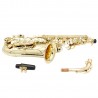Sax Alto Finitura Laccata "Conservatorio" + Ascolta leggi e suona Vol.1