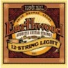 Earthwood 12 string Acoustic 80/20 Bronze - Light