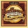 Earthwood 12 string Acoustic 80/20 Bronze - Light