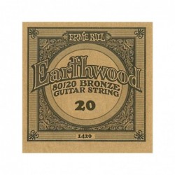 .020 Earthwood Acoustic 80/20 Bronze - 6 Pack