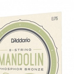 Mandolin Strings, Phosphor Bronze, Medium/Heavy, 11.5-41