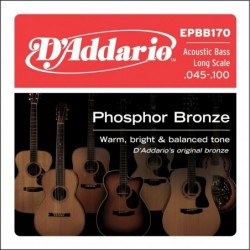 Phosphor Bronze Acoustic...